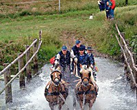 anlage_teich