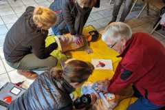 IMG-20230122-WA0004-2