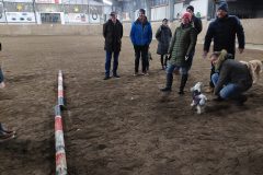 Schneeballschlacht_06-1-scaled